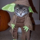 (Photo: Imgur)